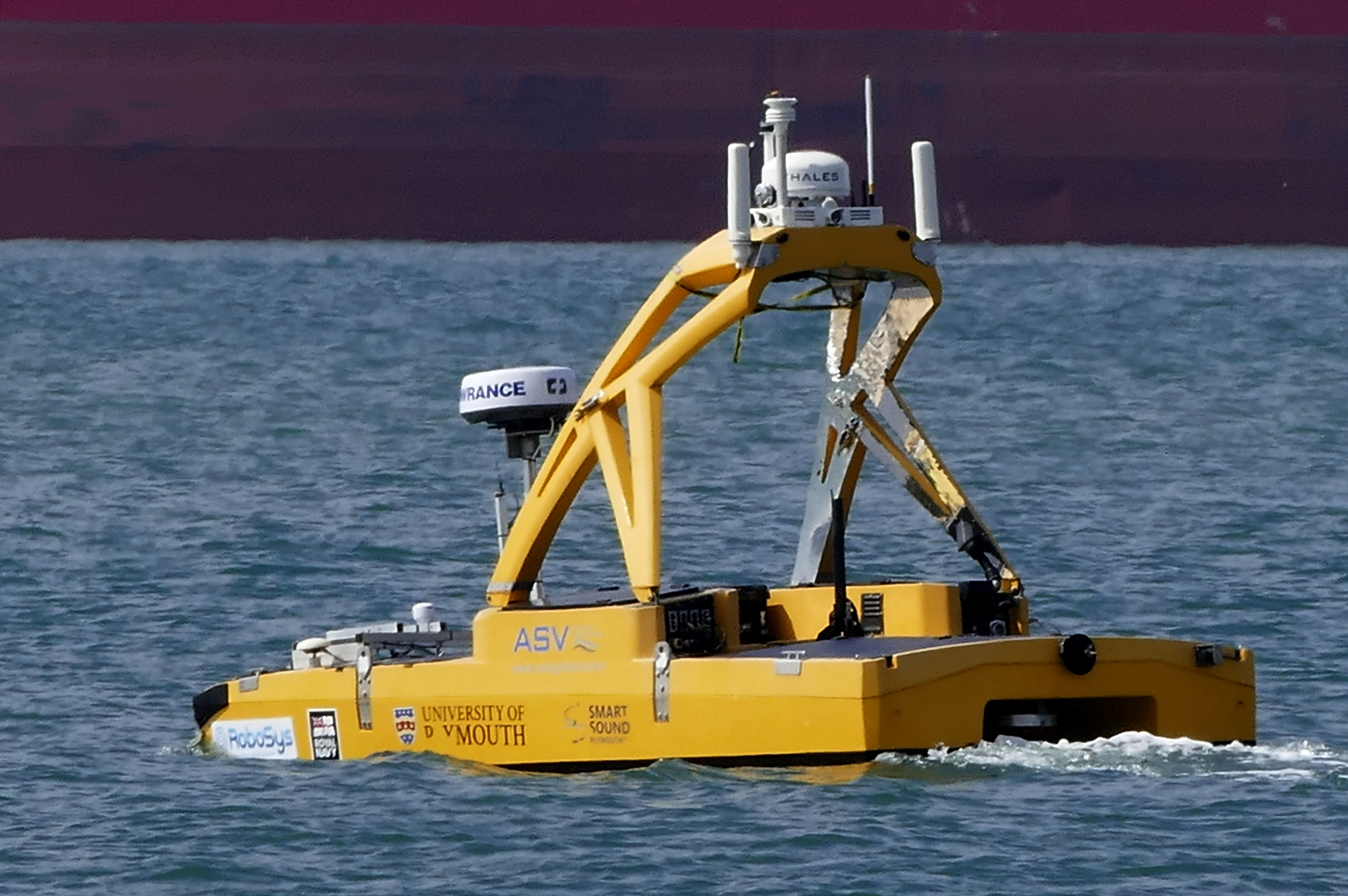 AUTO SURVEY