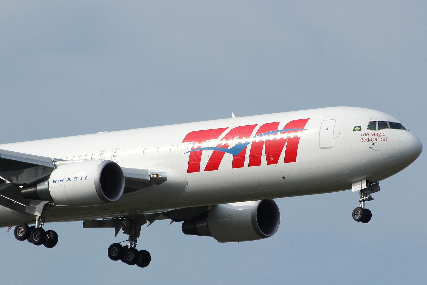 TAM 767 PT-MSX
