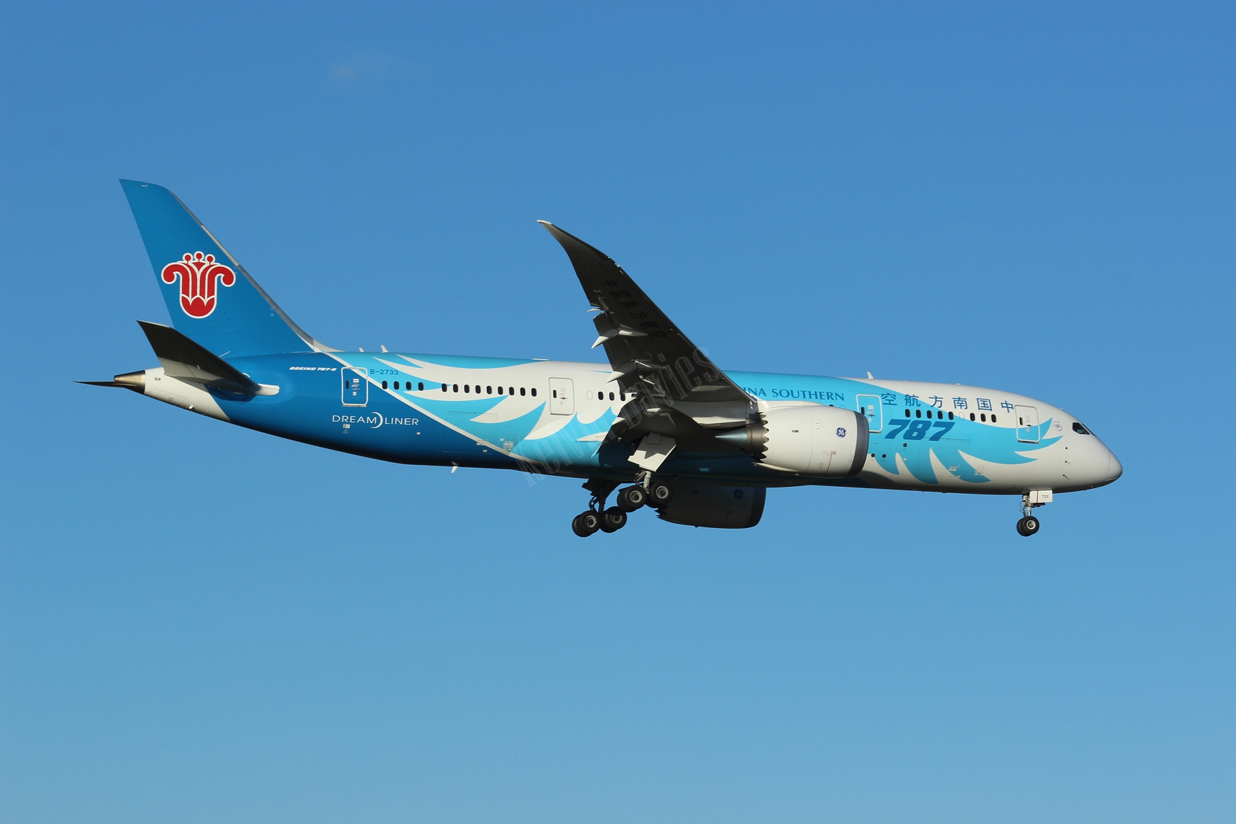 China Southern 787 B-2733