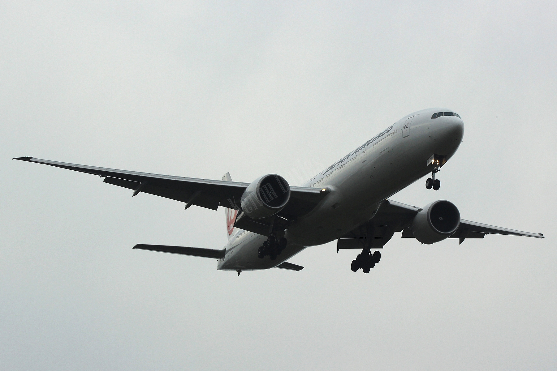 Japan Airlines 777 JA733J