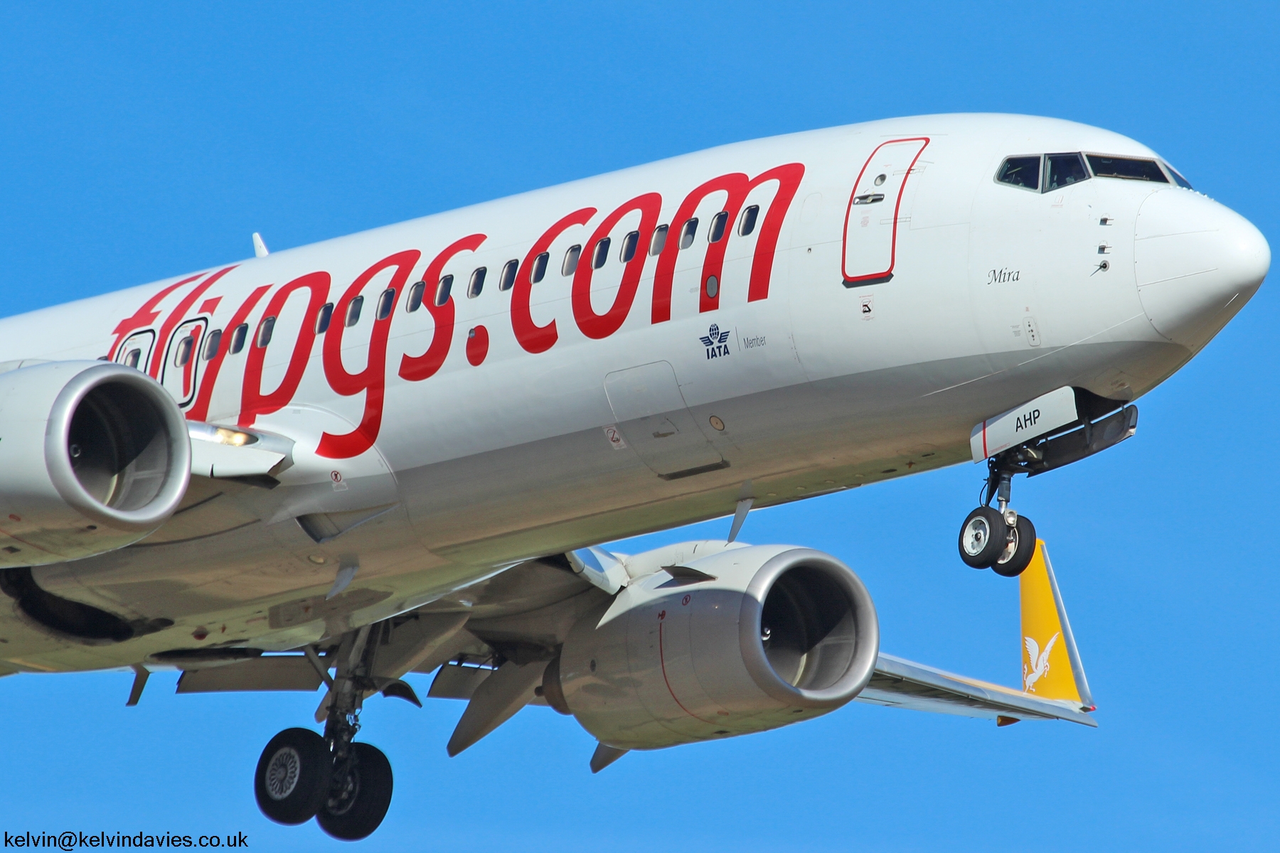 Pegasus Airlines 737NG TC-AHP