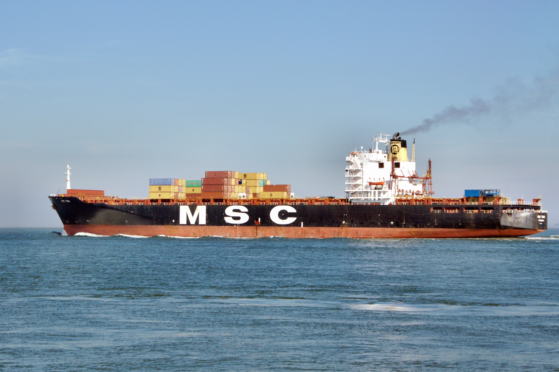 MSC TINA