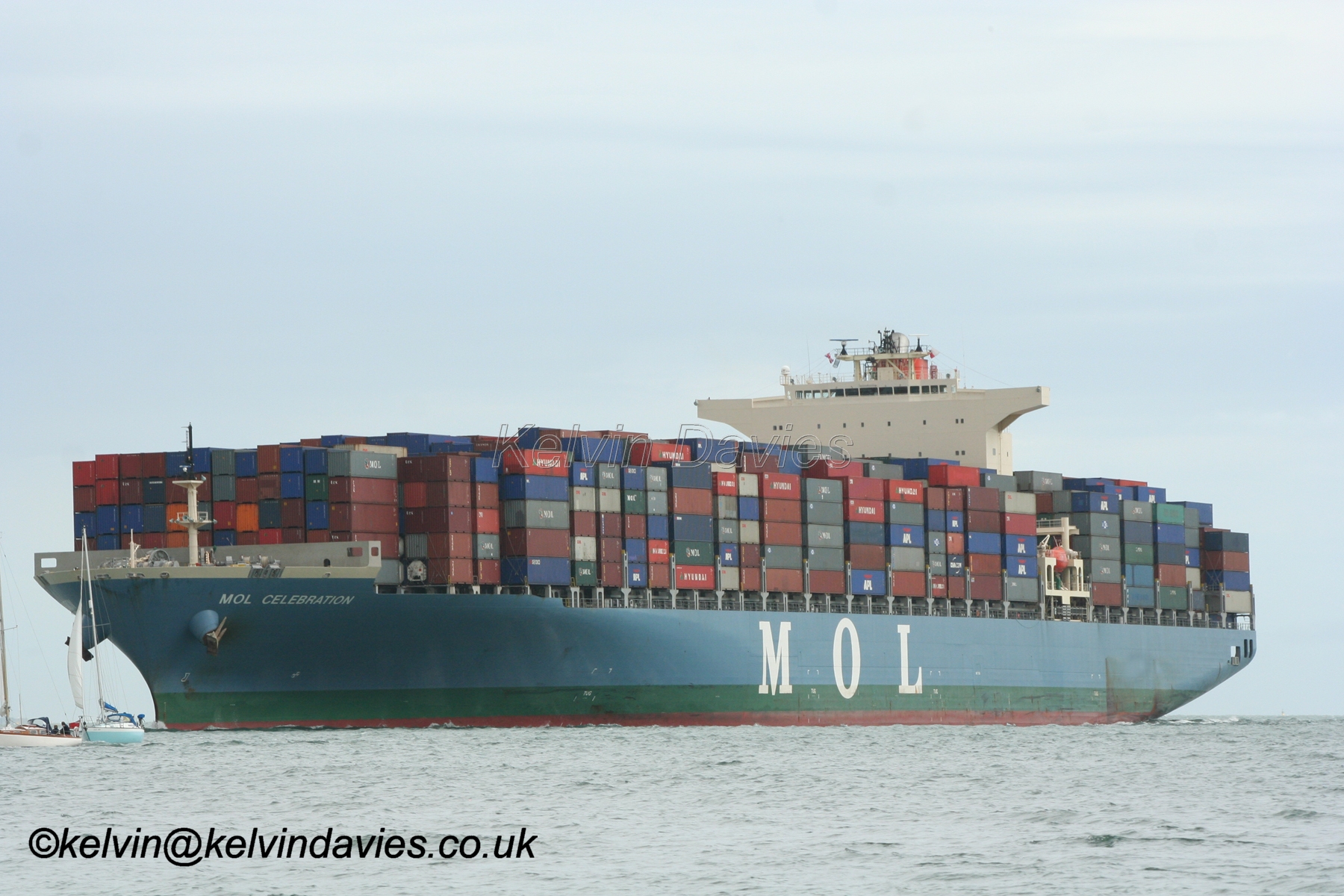 MOL Celebration