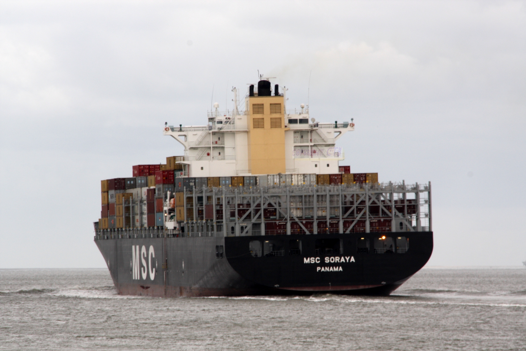 MSC SORAYA