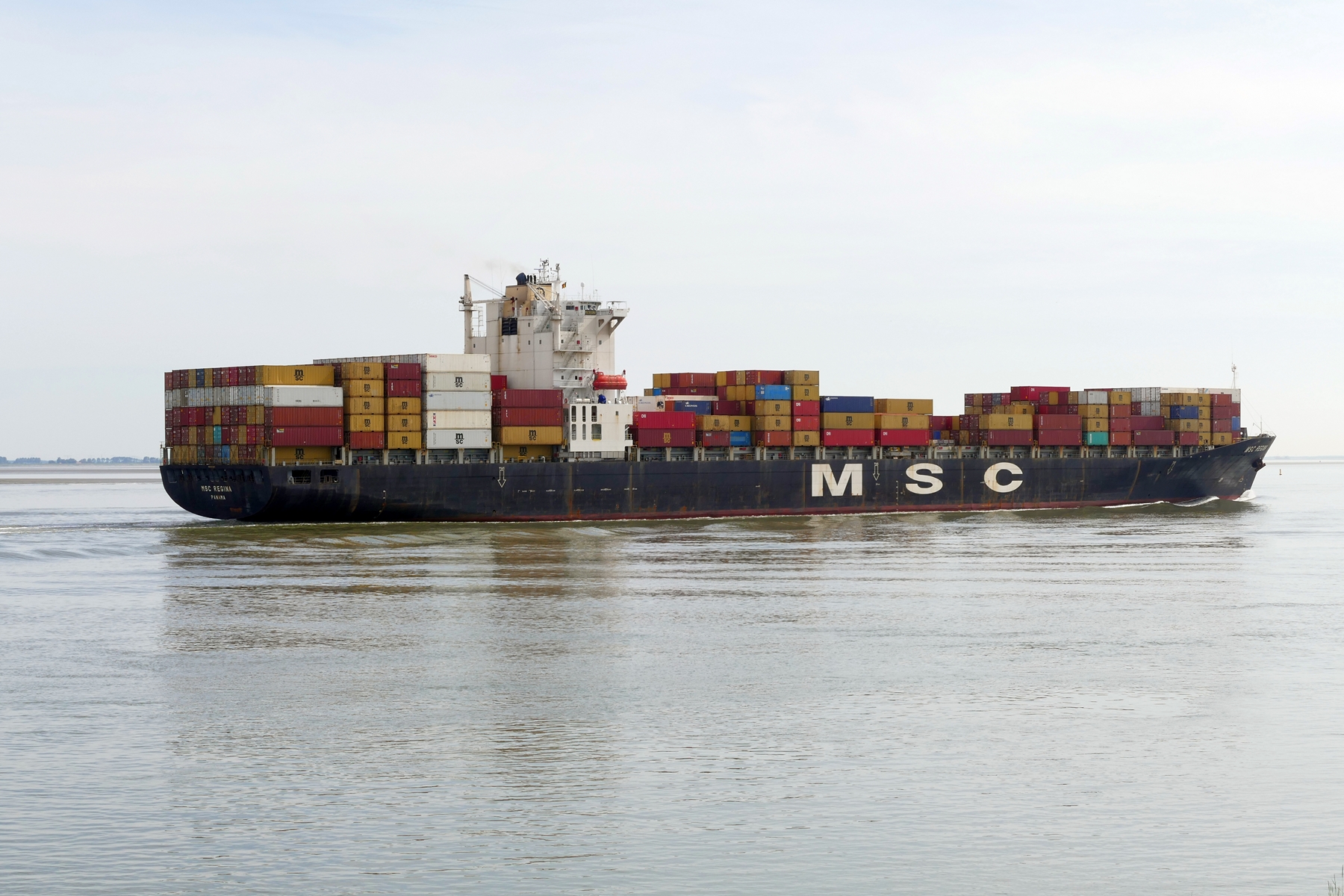 MSC REGINA