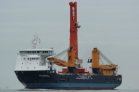 Palmarola