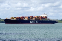 MSC PINA